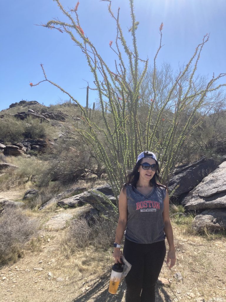 South Mountain Park and Preserve