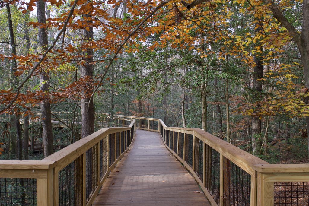 best places to travel in the US