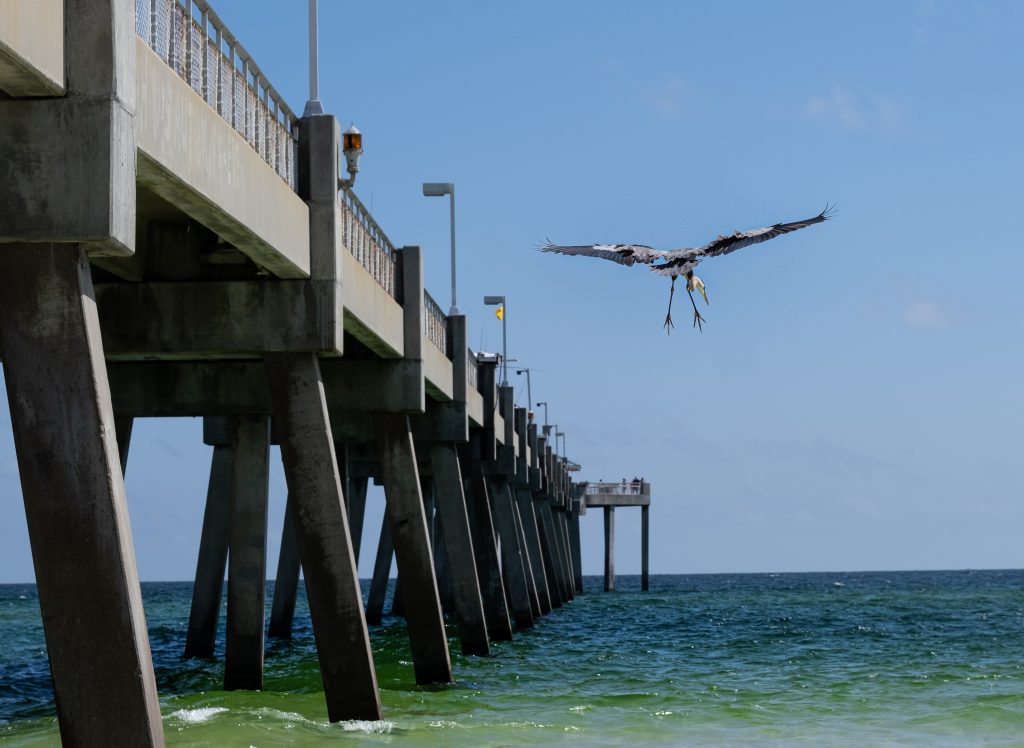 Things to do on the florida panhandle
