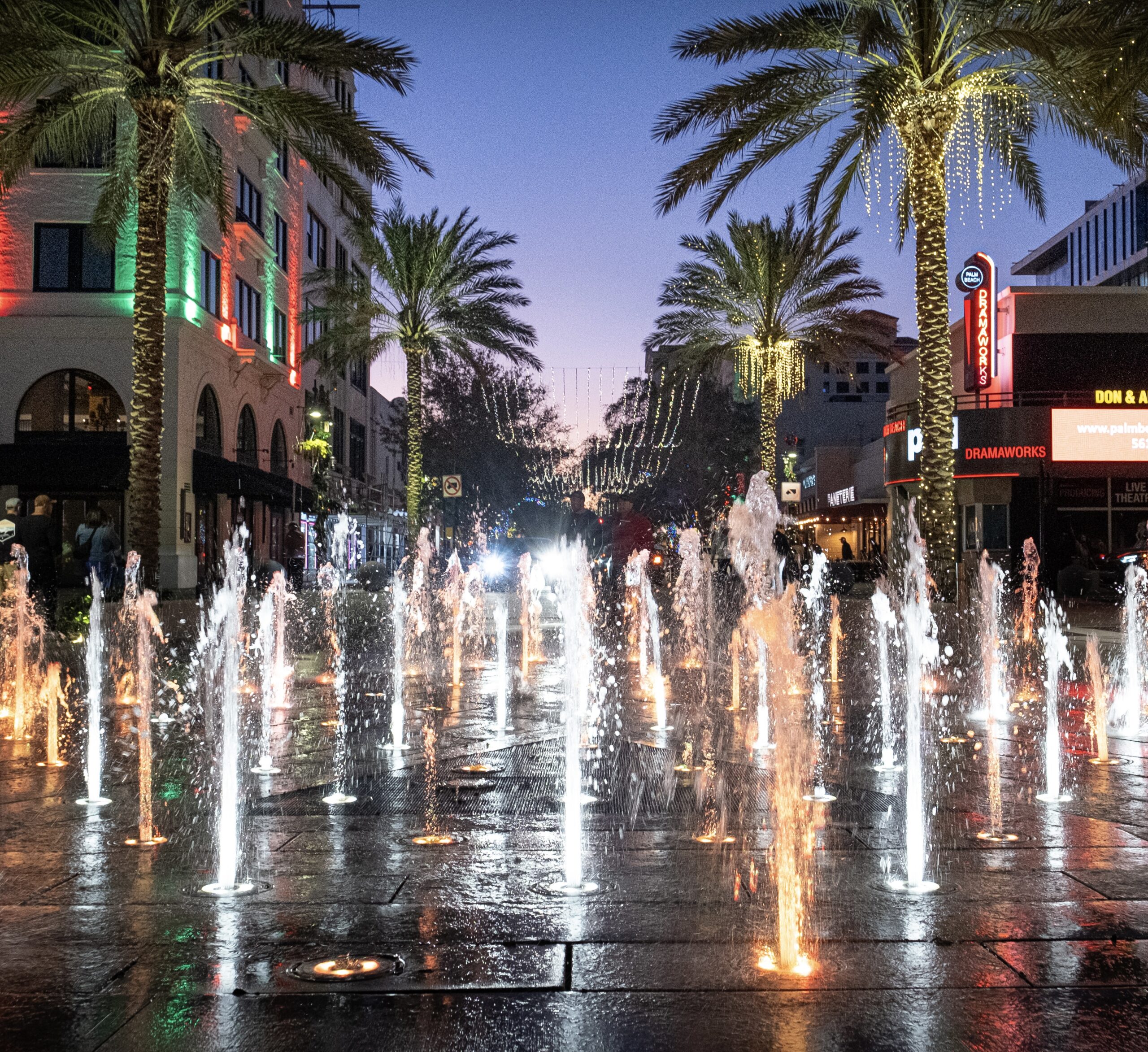 dihexa west palm beach FOXO4 - an overview