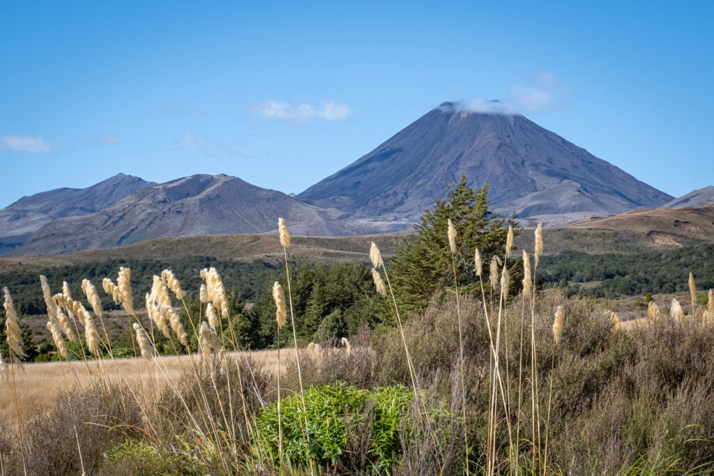 Best Things to do in New Zealand