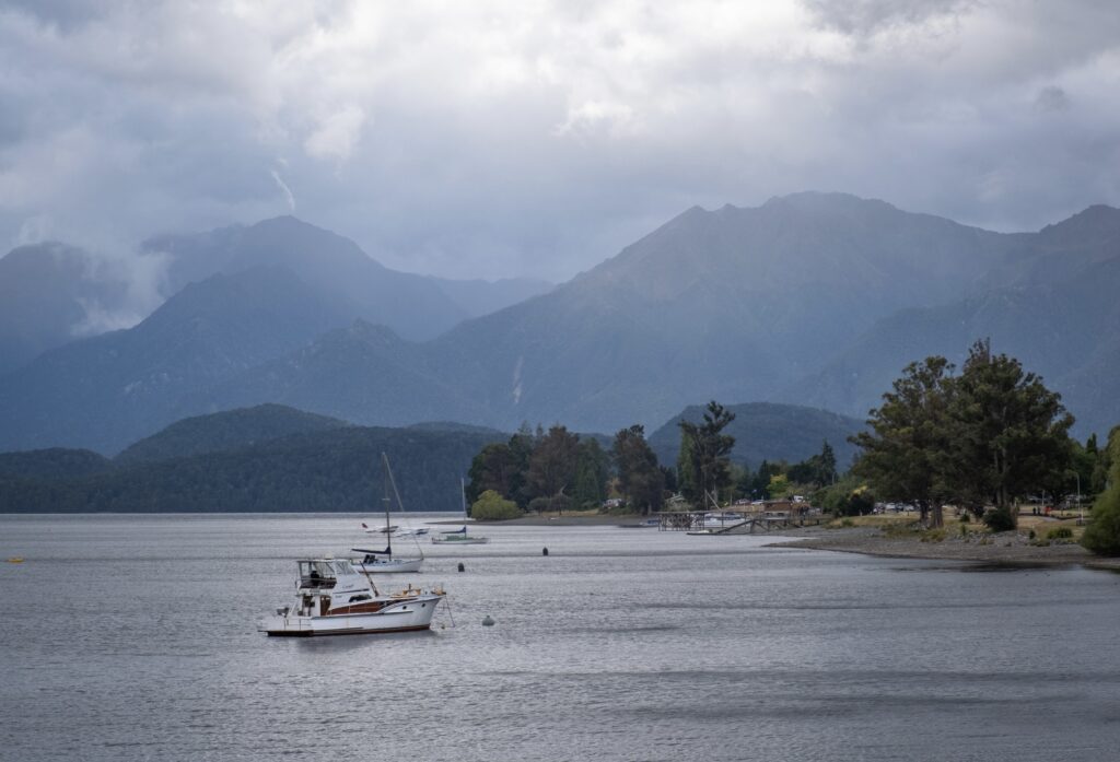 New Zealand Surprises
