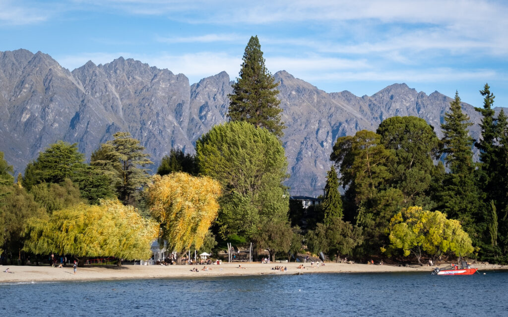 New Zealand Surprises