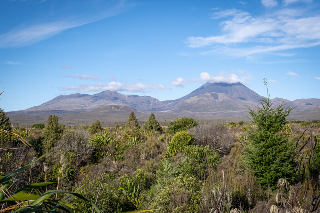 New Zealand Excursions Family Adventure