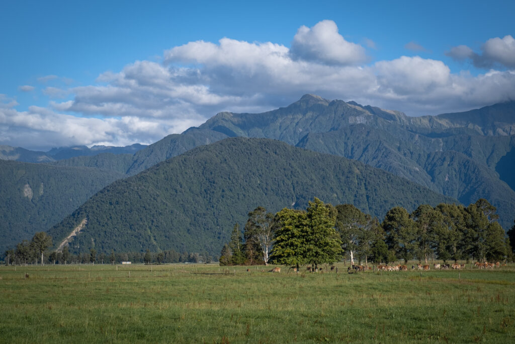 Hokitika -- Arthur's Pass National Park