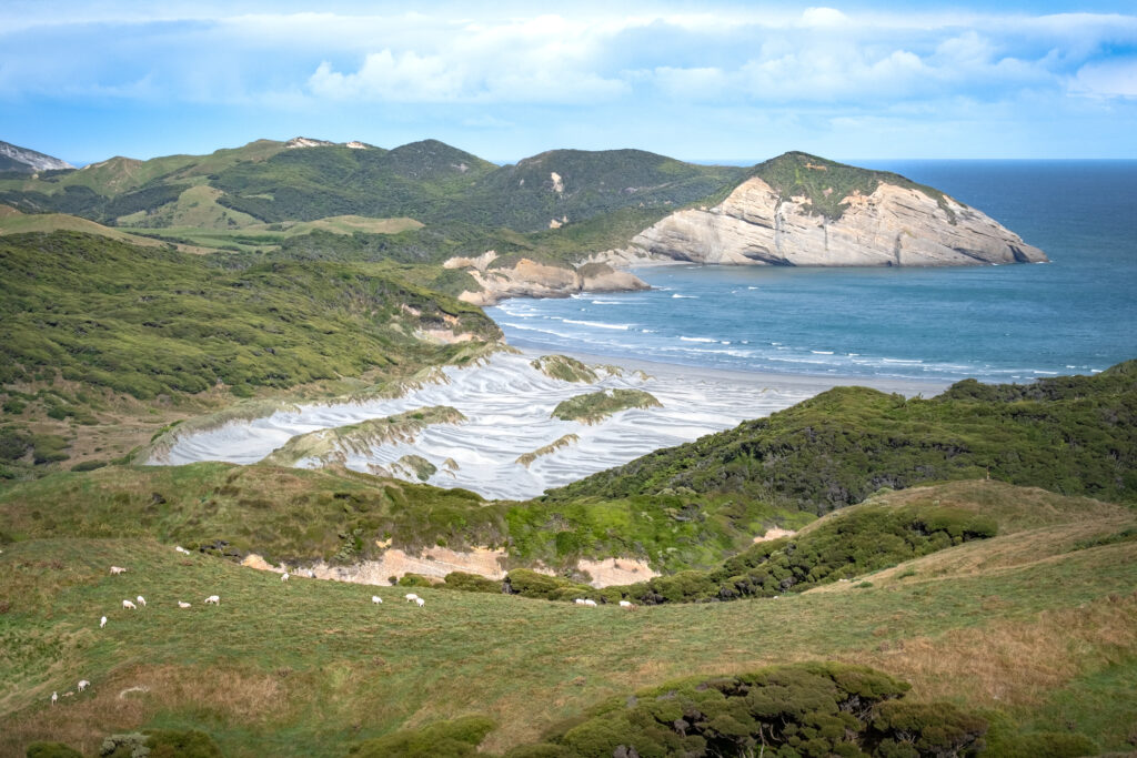 Best Secret Hidden Gems in New Zealand