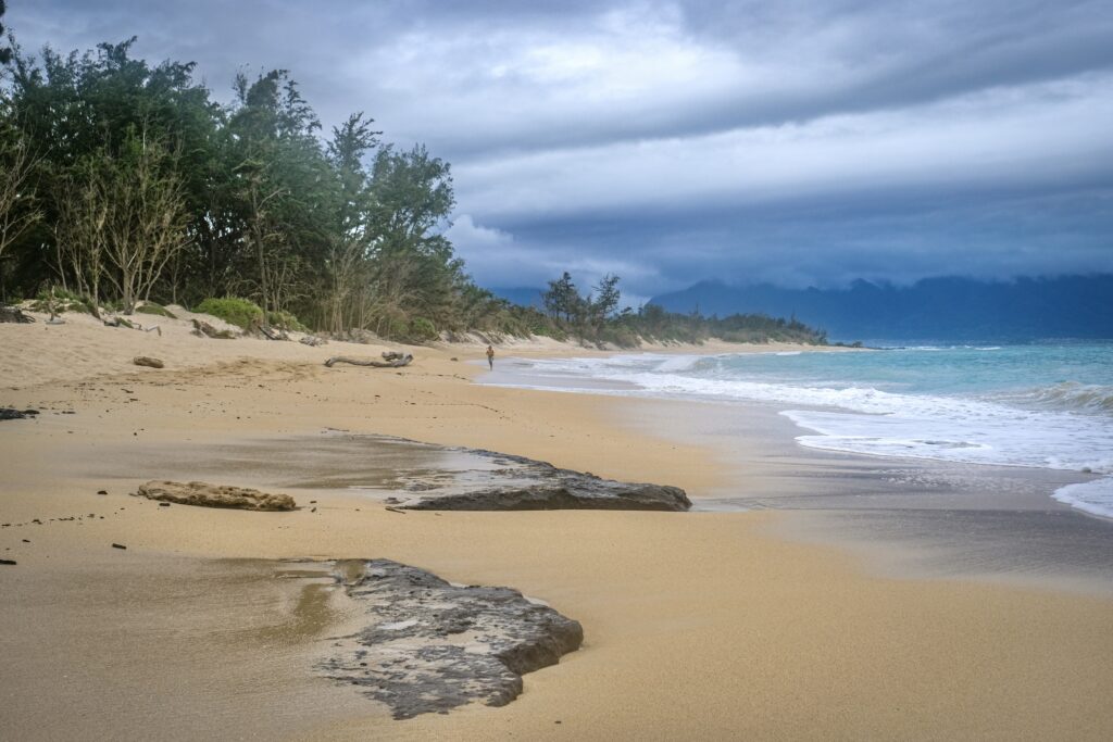 Best Beaches on the Island of Maui